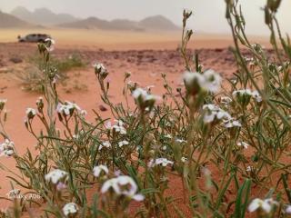 Rum Legend Experience - 9