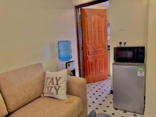 Affordable 1 Bedroom Apartment in Roysambu Nairobi - 6