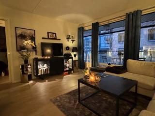 SG4 - 1BR Waterfront Aker Brygge - 3