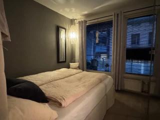 SG4 - 1BR Waterfront Aker Brygge - 2