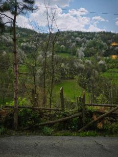 Qingji Vila Reqan - 5