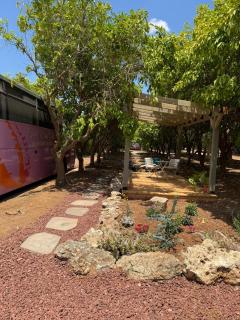 צימרים בצפון - קאמפ דיוויד - 6