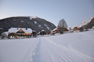 Landhotel - Apartments Bauer - 9