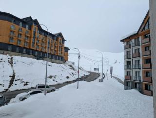 Boris - 1