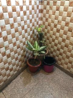 Stay Hotel Darpan - 4