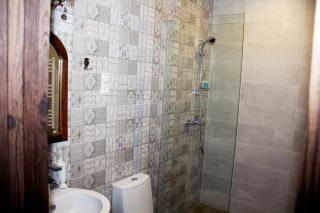 Hotel Delisi - 8
