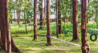 Devbagh beach resort - Junglelodges - 1