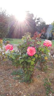 Victoria - Tracy-sur-Mer - 2
