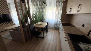 Nowoczesny Apartament w Centrum Żnin - 1