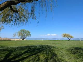 1038 - Szemesnek áll a Világ Vendégház - 4