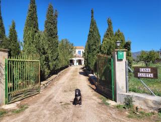 Casa Gayeta Stay - 5