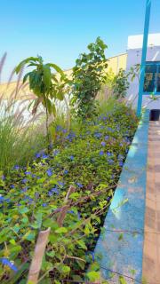 Dirat Al-Ghizal 2 - 2