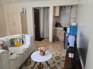 Kitengela Luxurious BNB - 1