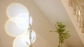 禾光 illuminate - 9