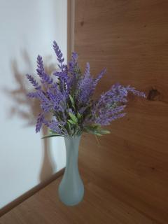 Apartman NATAŠA - 6