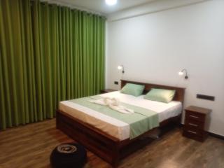 Rain forest freedom - 5