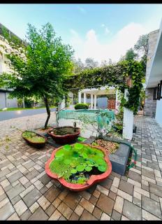 solomons ark luxury pool villa - 1