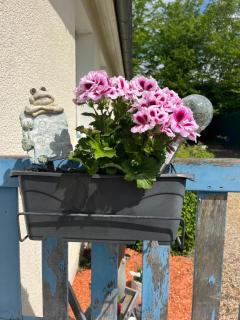 chambres de la Nonette - 5