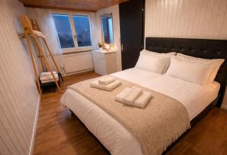 Modern 2BR Loft in Historic Swiss Chalet 200m from Interlaken West - 4
