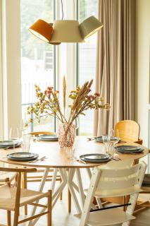 Duinrand cozy family apartment big garden - 6
