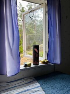 The Hunters Hill - Cosy private forest retreat - 6