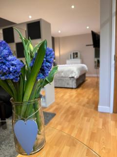 City Centre Modern Studio Apartment - Westone FREE WIFI, GYM ACCESS, NETFLIX - 7
