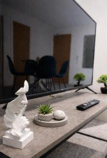 Modern riverside City centre Apartment - 5
