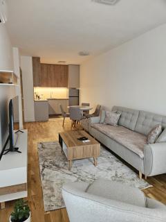 Apartment Anita Cetinje 3 - 6