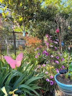 Sunny Flower - 4