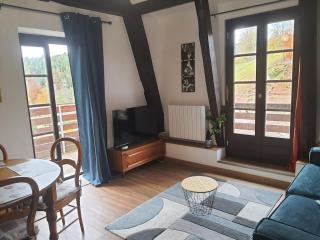 Cozy studio in Hohwald Nature & relaxation guaranteed - 0