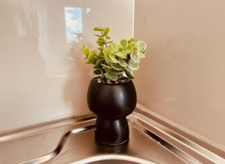 Charming Studio Near Airport 1B Free Parking - 9