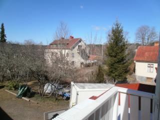 Ankis i Virserum - 1