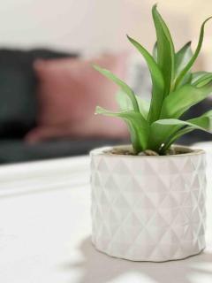 House of Color EVV Stylish Apartments - 2