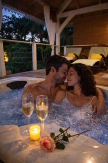 Écolodge Ti-Zen avec jacuzzi privé jardin tropical Villa Gaïa - 4