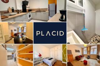 L'entre 2 places, Apt 42 m² hyper centre Arras - 9