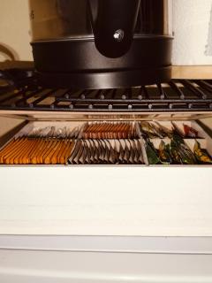 CozyScapes Haven - 3