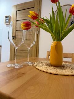 Apartament w Sercu Gór z ogrodem - 8