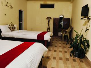 Tiger wildlife camp - 4