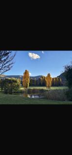 127 Clarens Golf Villa - 5