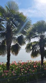 Ferienwohnung Ankerglück - 4