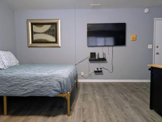 Spacious Studio near Brady St - 4