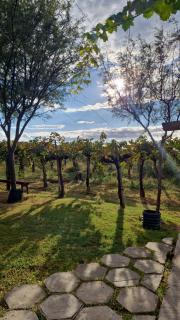 Habitaciones El Sauce - 6