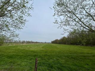 minicamping Het Zuiderscheveld - 3