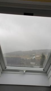 FeWo Meise - 3