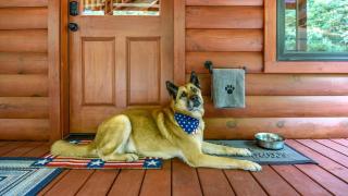 Freedom Creek Hideaway-Veteran Host-Pet Friendly-Single nights-Newly Renovated!! - 5