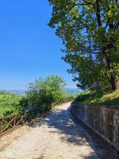 Il Casale del Priore - 7