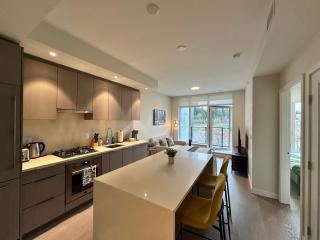 UBC Pacific Spirit Modern Style Home - 1