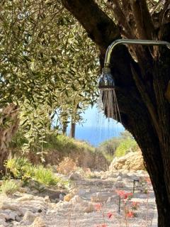 Villa Xalupi - Design-Villa mit Pool und Meerblick - 1