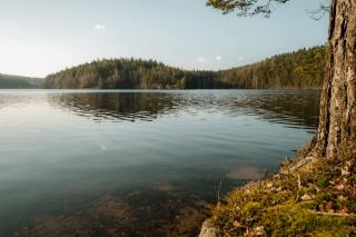 Ubytování Háj - 5