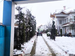 Florence Villa Guest House - 4